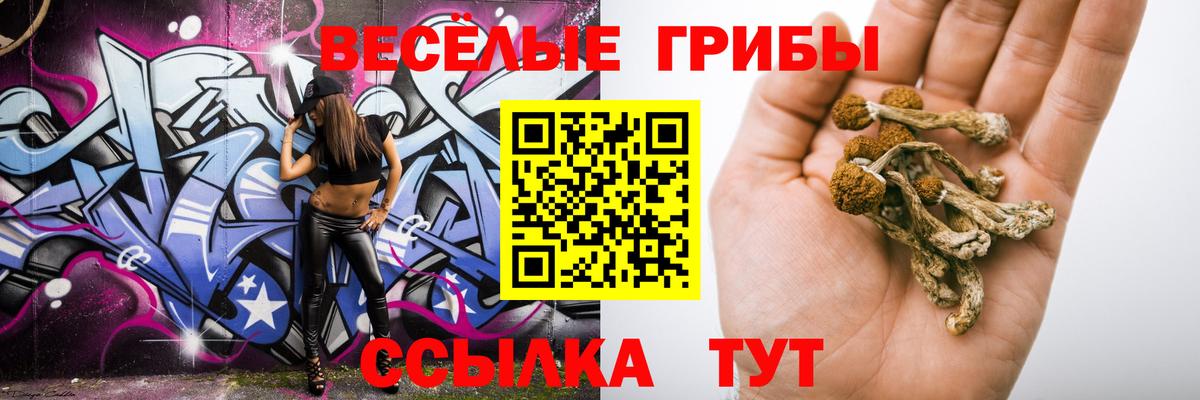 Гудермес  Псилоцибиновые грибы Magic Shrooms  Вход с VPN 