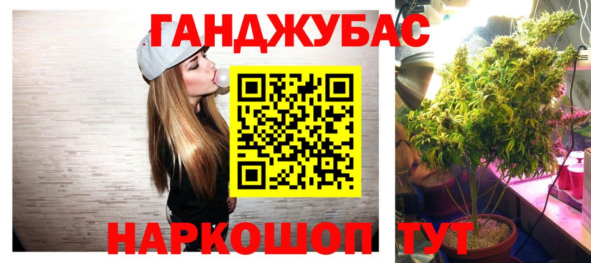 Бошки Шишки MAZAR Гудермес